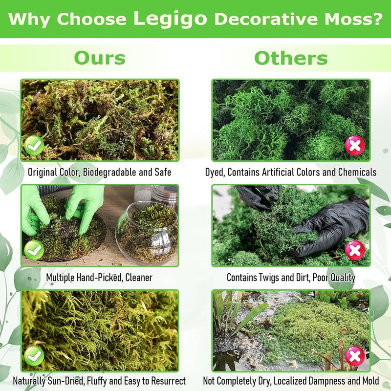Legigo 1.3 LBS Green Moss for Crafts, Real Forest Moss for Plants Indoor, Table Decorative Centerpieces, Artificial Fairy Garden, Wedding Party Decor, Fake Potted Plants and DIY Craft Projects - Image 3